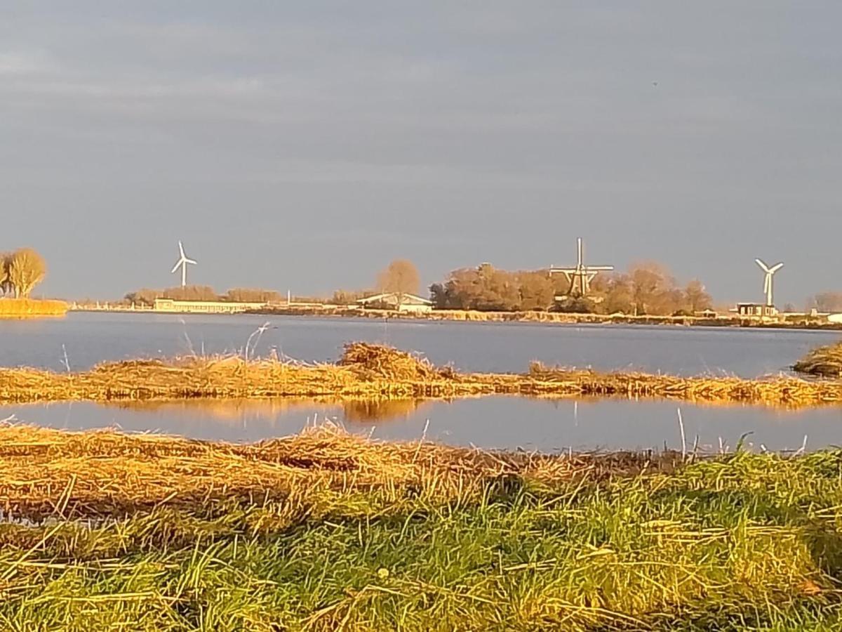 Tiny House Holland Villa Oudesluis  Eksteriør billede